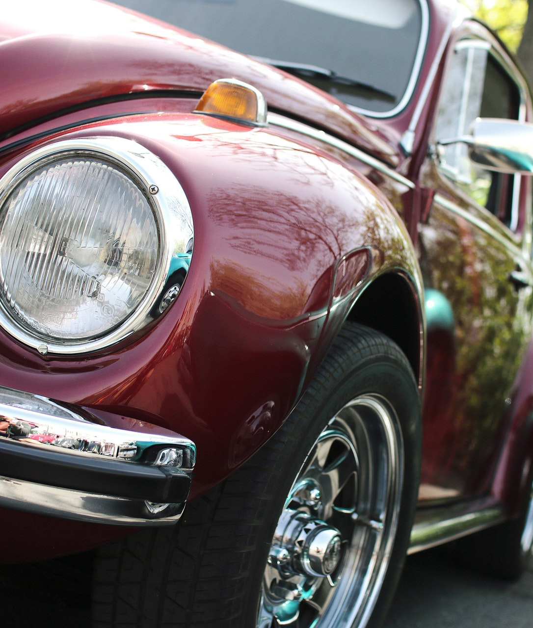 beetle 3 | Proline Paint